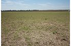 Property photo 41 - LAND AUCTION, 3255+/- Acres offered in 13 Tracts